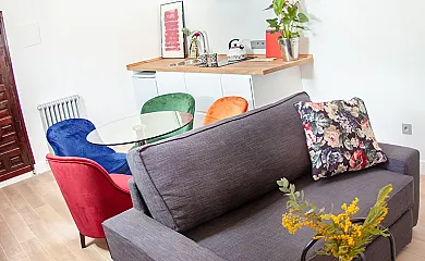 La buganvilla en Valdelaguna (Madrid) - Foto 16