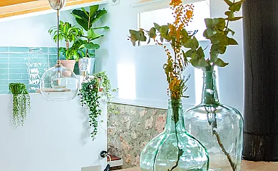 La buganvilla en Valdelaguna (Madrid) - Foto 19