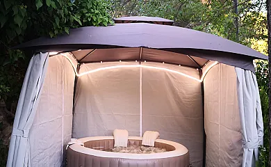 La buganvilla en Valdelaguna (Madrid) - Foto 3