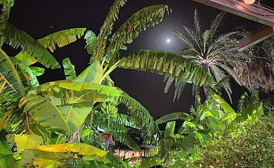 Finca Naveda en Barbate (Cádiz) - Foto 21