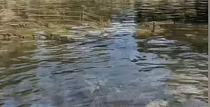 La Casa de mis Padres 0015