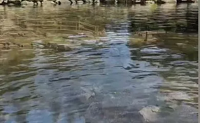 La Casa de mis Padres en Arahuetes (Segovia) - Foto 15