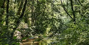 La Casa de mis Padres 0020