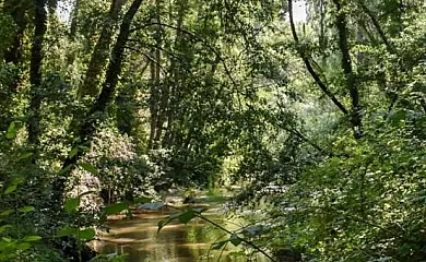La Casa de mis Padres en Arahuetes (Segovia) - Foto 20