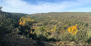 La Casa de mis Padres 0038