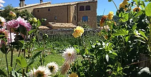 Casa Vilanova d'Isanta 0034