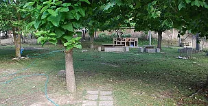 Fuente del Ciervo I y II 0043