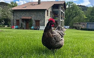Campacruz en Puyarruego (Huesca) - Foto 2