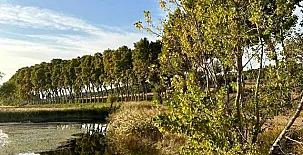 Casa Rural Namasté 0010