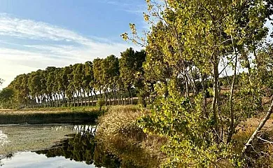Casa Rural Namasté en Bellcaire d'Urgell (Lleida) - Foto 10