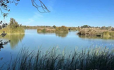 Casa Rural Namasté en Bellcaire d'Urgell (Lleida) - Foto 17