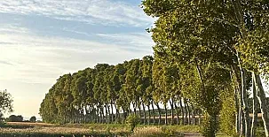 Casa Rural Namasté 0042