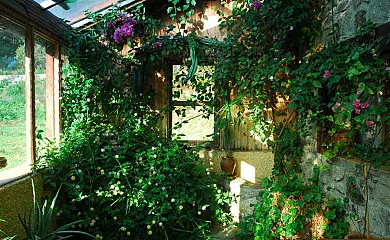 Finca El Becerril en Acebo (Cáceres) - Foto 7