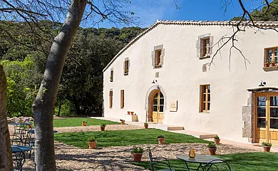 Nits de Bosc en Vilassar de Dalt (Barcelona) - Foto 2