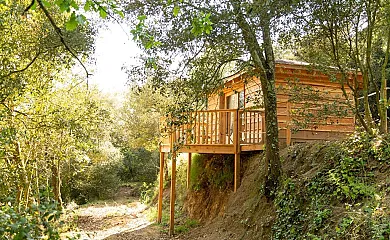 Nits de Bosc en Vilassar de Dalt (Barcelona) - Foto 4