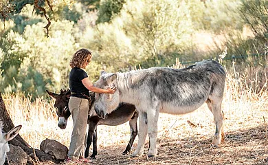 La Donaira en Montecorto (Málaga) - Foto 5