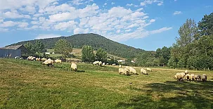 Hostal Rural Iratiko Urkixokoa 003