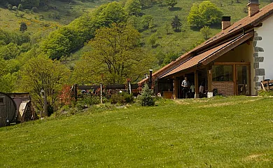 Hostal Rural Iratiko Urkixokoa en Orbaitzeta (Navarra) - Foto 4