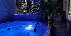 El Rincón de Ayllón 003