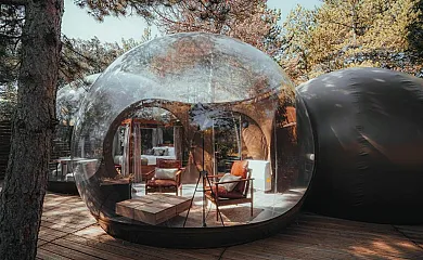 Noctis en Los Rábanos (Soria) - Foto 2