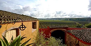 Les Vinyes Boutique & Spa 002