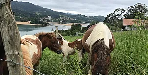 Casa Rural Hemingway  Kanala 002