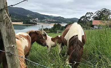 Casa Rural Hemingway  Kanala en Kanala (Vizcaya) - Foto 2