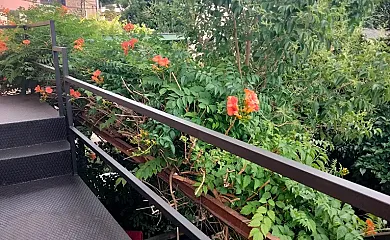 La Carpintería del Abuelo en Camprovin (La Rioja) - Foto 18