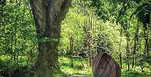 Molino del Marqués 0016