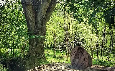 Molino del Marqués en Cañete (Cuenca) - Foto 16