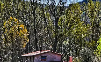 Molino del Marqués en Cañete (Cuenca) - Foto 17