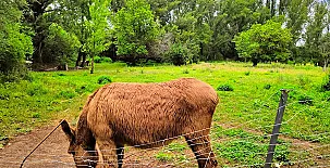 Molino del Marqués 008