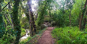 Molino del Marqués 0023