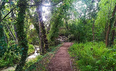 Molino del Marqués en Cañete (Cuenca) - Foto 23