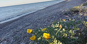 La Casa Gran - Casa Pairal 0030