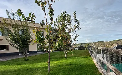 Las Vistas del Valle en Hontoba (Guadalajara) - Foto 1