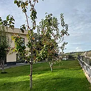 Las Vistas del Valle 001