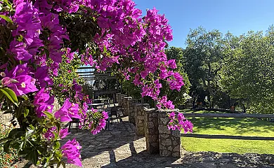 Virgen de la Cabeza en Valencia de Alcántara (Cáceres) - Foto 25