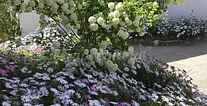 Casa Rural Villafilomena 0024