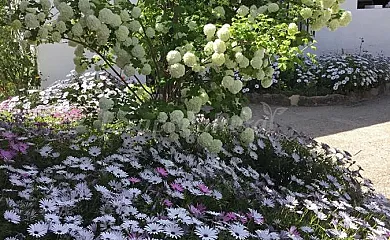 Casa Rural Villafilomena en Olvera (Cádiz) - Foto 24