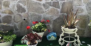 Casa Rural Villafilomena 0034