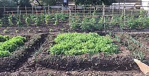 Casa Rural Villafilomena 0041