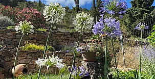 Apartamentos Casa Lola 0025