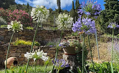 Apartamentos Casa Lola en Beceite (Teruel) - Foto 25