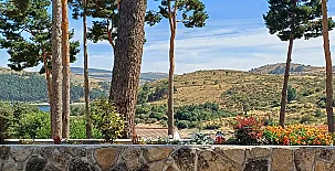 El Nogal de Marieta 0036