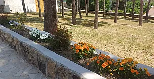 El Nogal de Marieta 0044