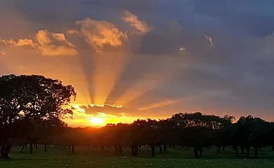 Casa La Breña en Talavan (Cáceres) - Foto 20