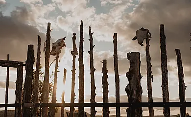 La Costana de Barbadillo en Barbadillo Del Mercado (Burgos) - Foto 15