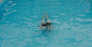 La Costana de Barbadillo 0027