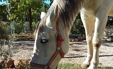 La Loma del Carrascal en Hornos de Segura (Jaén) - Foto 5